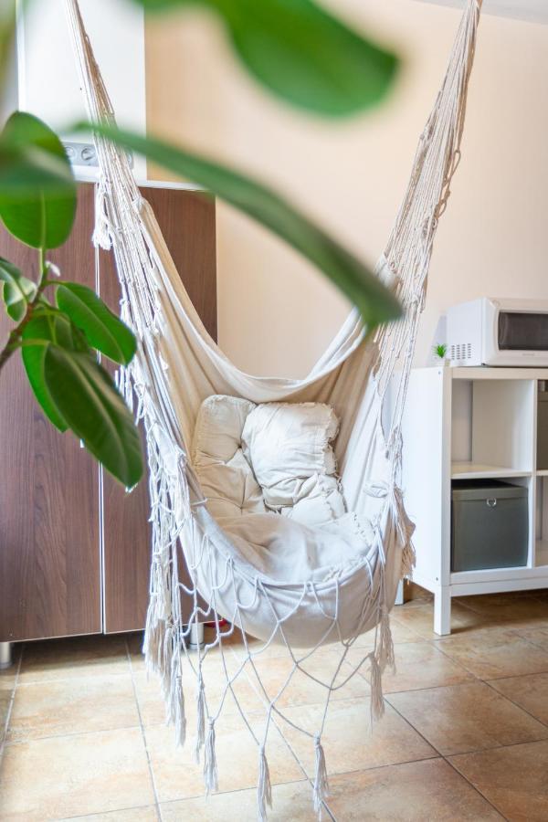 Dream Guesthouse Braşov Extérieur photo